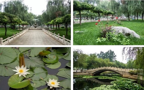 石家莊東華鐵路學校環(huán)境