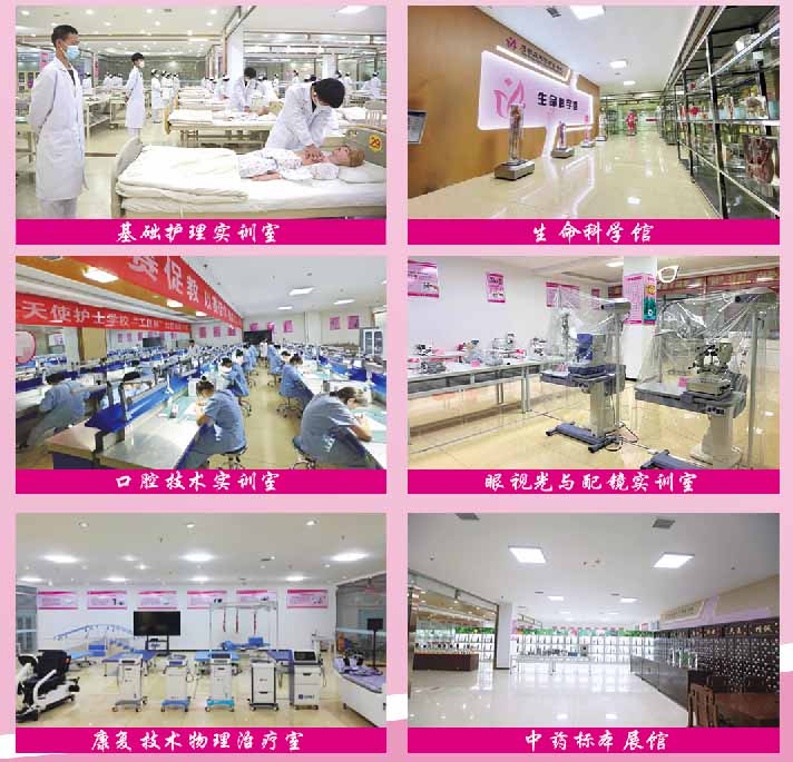 石家莊天使護士學校2026年春季班招生年齡要求