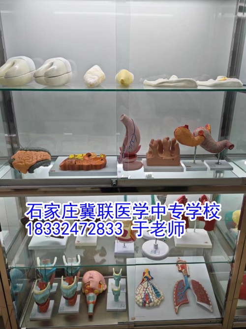 石家莊冀聯(lián)醫(yī)學(xué)中專學(xué)校護(hù)理學(xué)習(xí)什么？接觸解剖嗎？